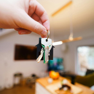 pexels-jakubzerdzicki-29871187